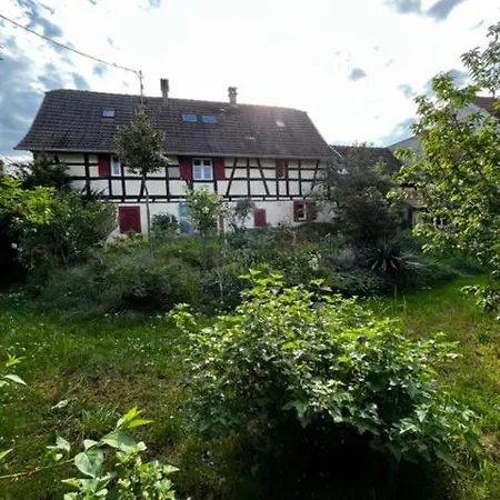 Alsatian Garden - Parking - 20min Stras Blaesheim